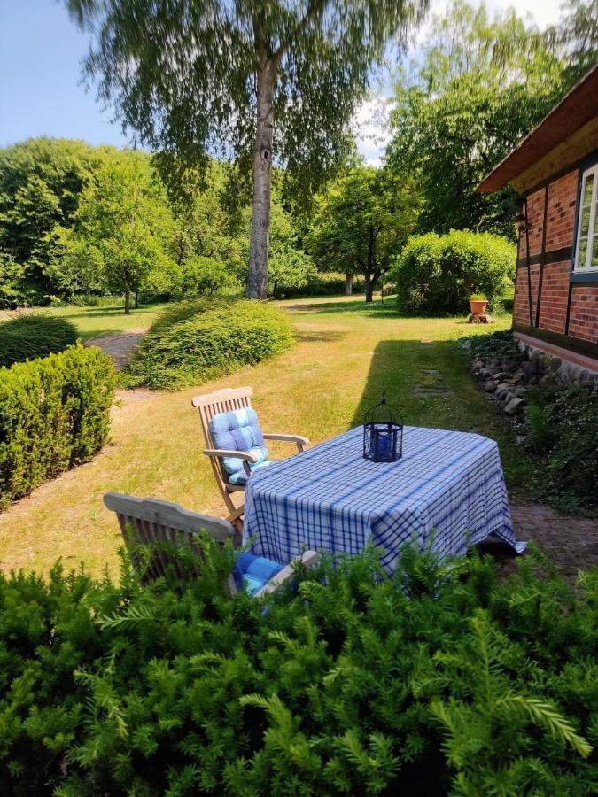 Chalet Forsthof Everstorf - Kleine Wohnung Grevesmuehlen Exterior foto
